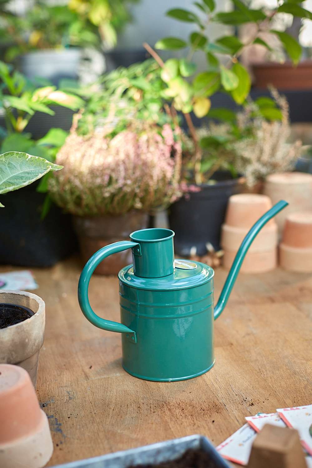 Indendørs vandkande - Sage Green 1 L